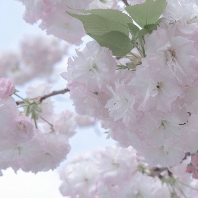 通川FurryQQ群介绍